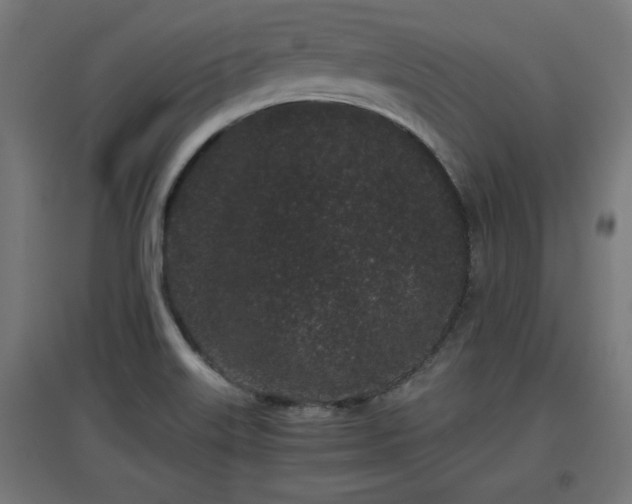 X0000094971515200712061415