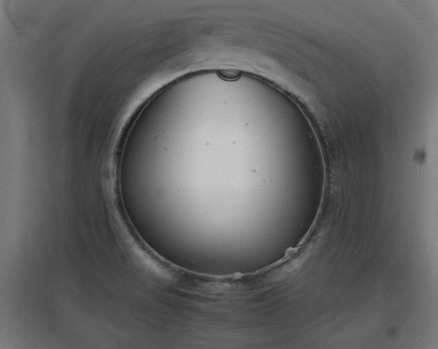 X0000094971517200712061415