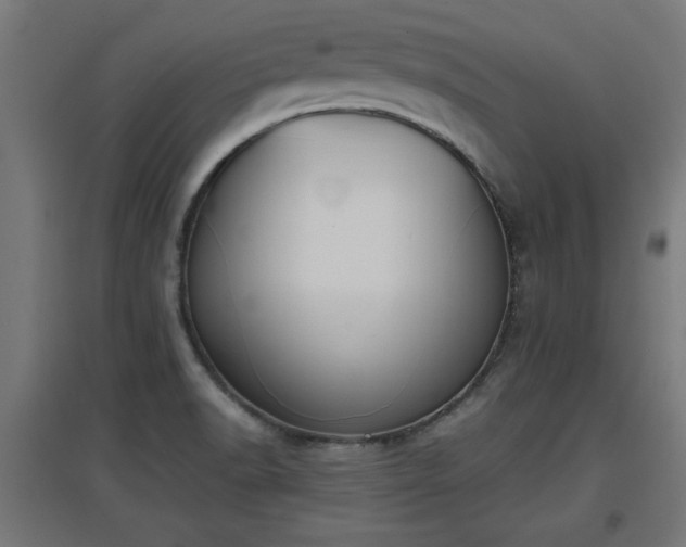 X0000094971518200712061415