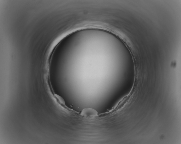 X0000094971520200712061415