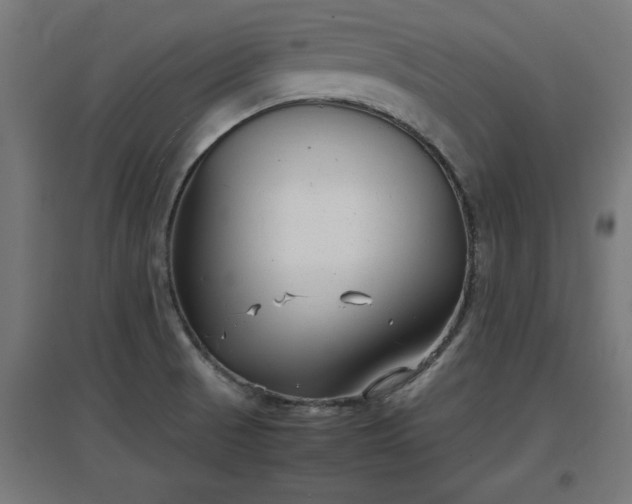 X0000094971521200712061415