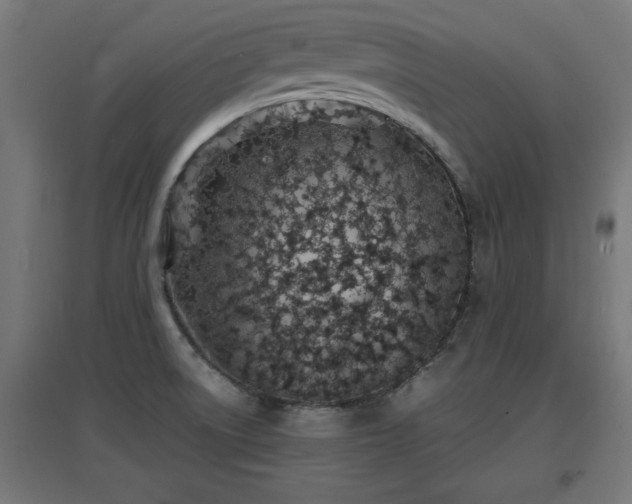 X0000094971522200712061415