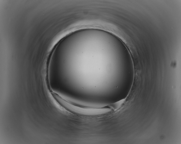 X0000094971523200712061415