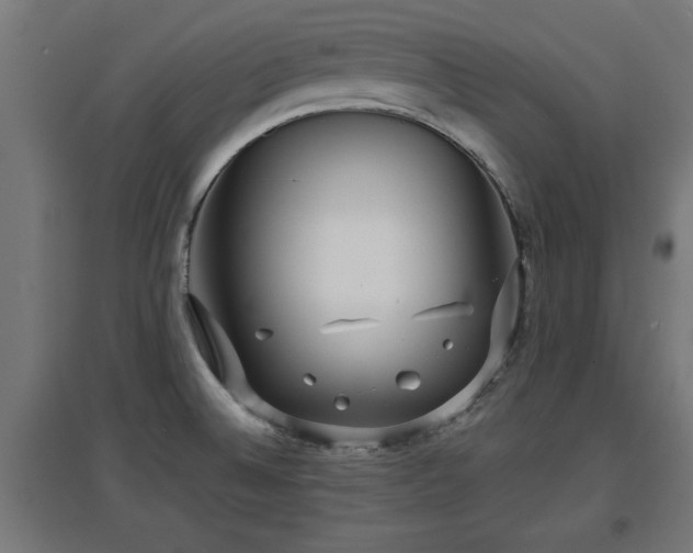 X0000094971524200712061415