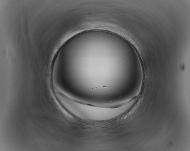 X0000094971525200712061415