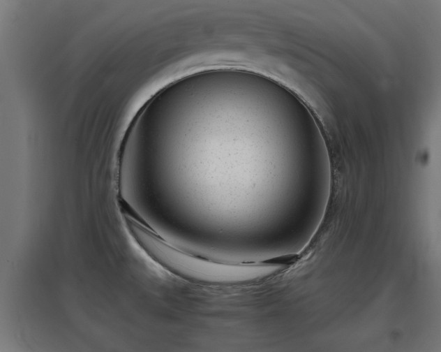X0000094971527200712061416