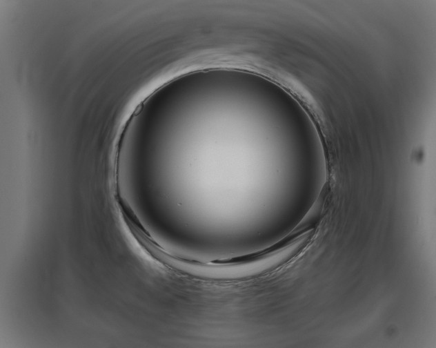 X0000094971528200712061416