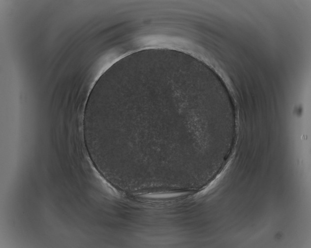 X0000094971529200712061416