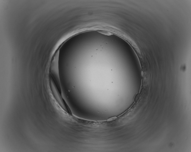 X0000094971530200712061416