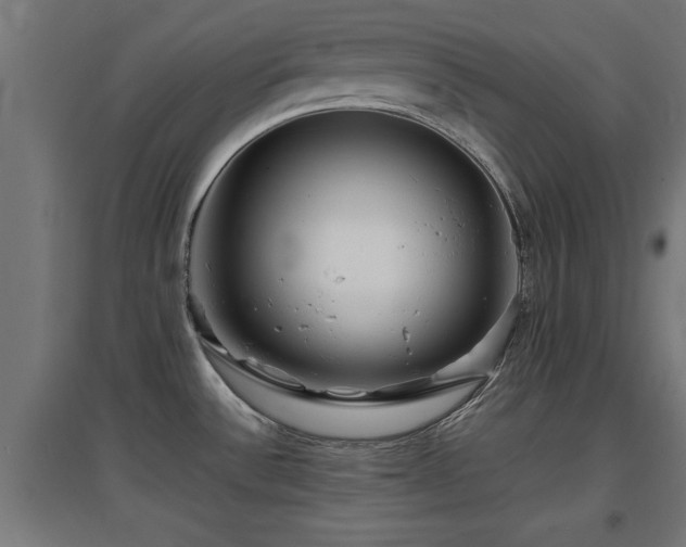 X0000094971532200712061416