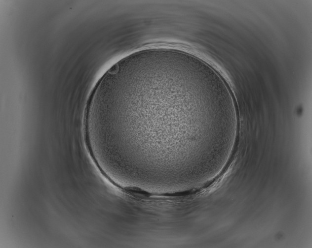 X0000094971533200712061416