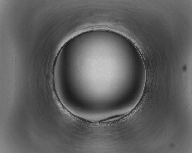 X0000094971534200712061416