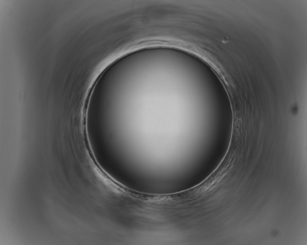 X0000094971535200712061416