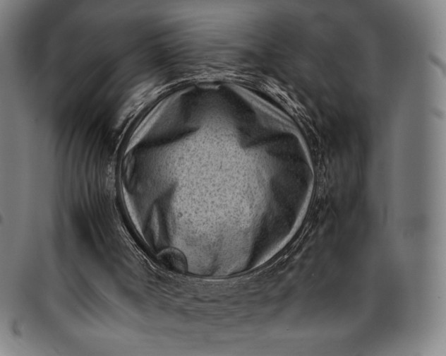 X0000094970002200712131505