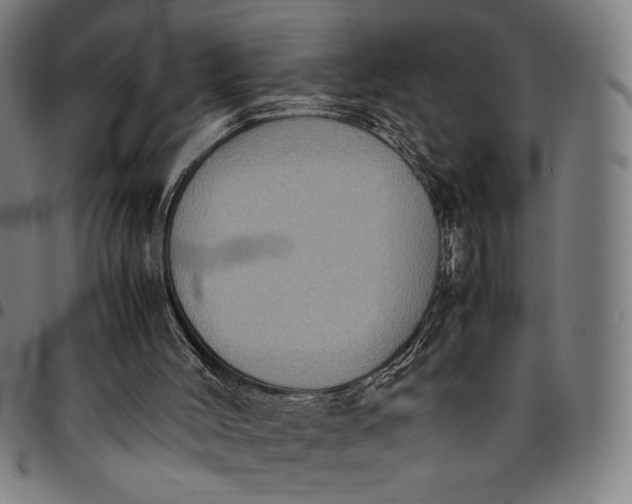 X0000094970004200712131505