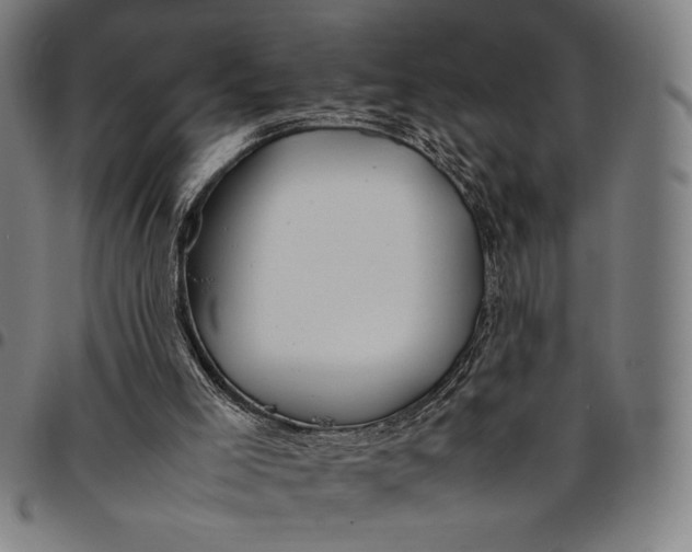 X0000094970005200712131505