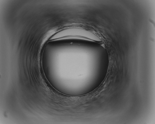 X0000094970006200712131505