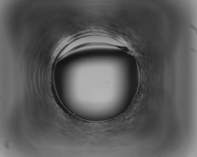 X0000094970007200712131505