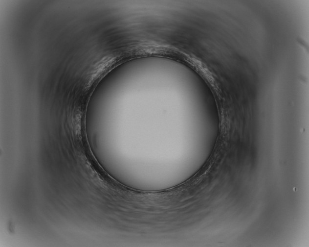 X0000094970010200712131505