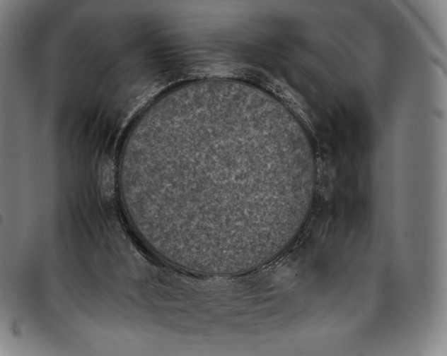 X0000094970012200712131505