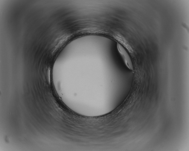 X0000094970014200712131505