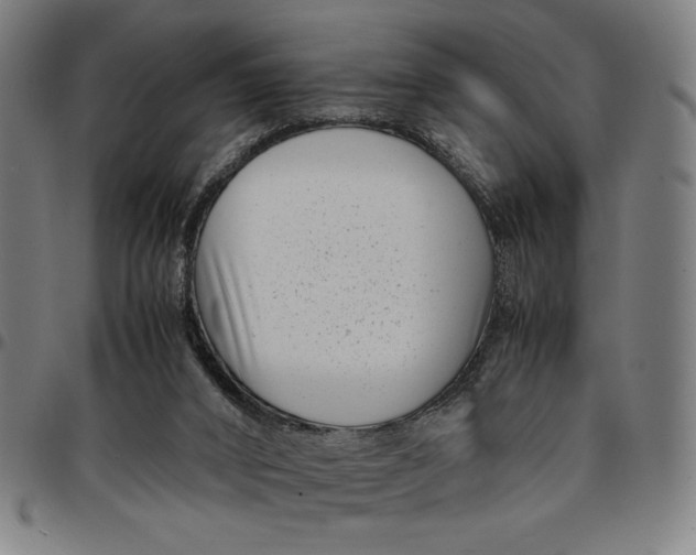 X0000094970016200712131505