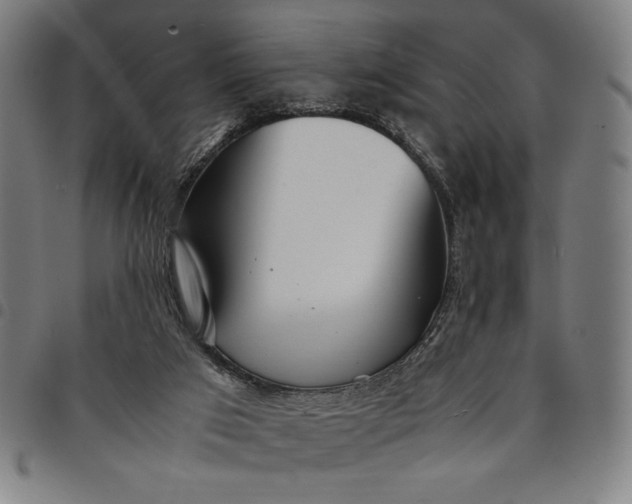 X0000094970017200712131505