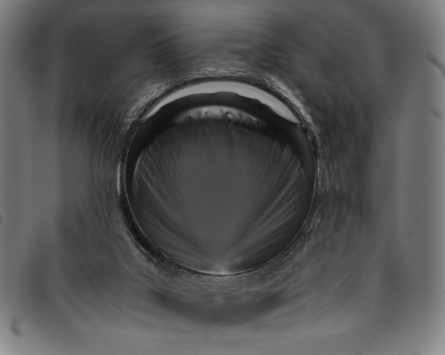 X0000094970019200712131505