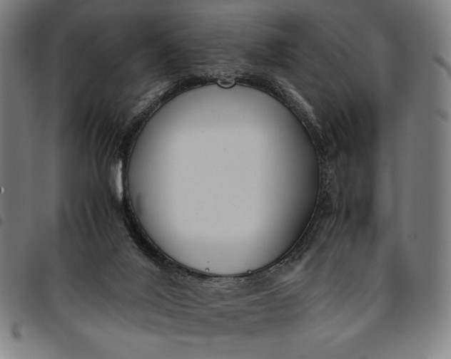 X0000094970020200712131505