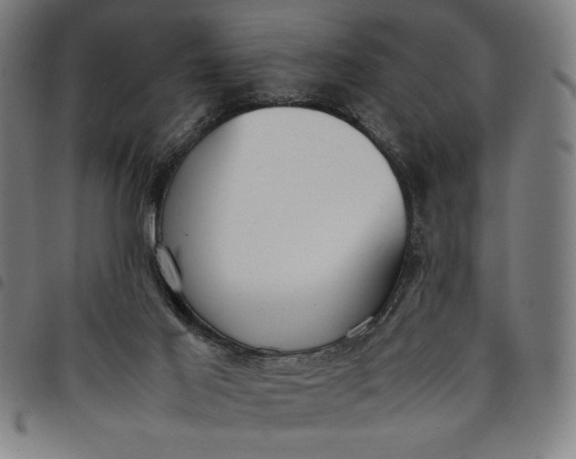 X0000094970021200712131505