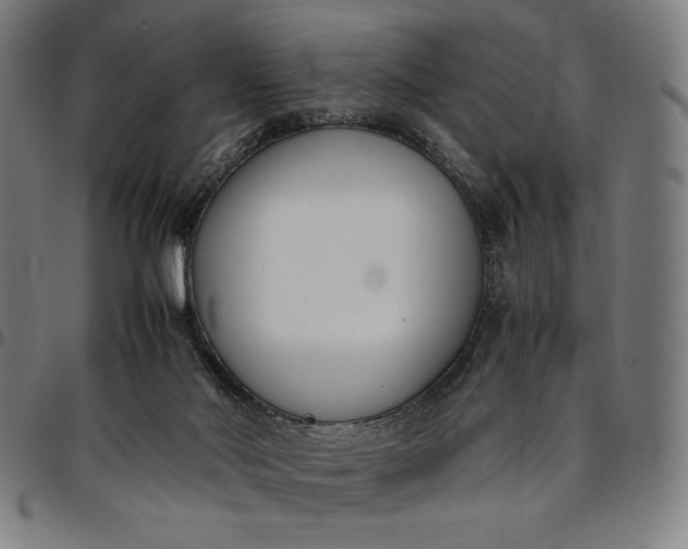 X0000094970022200712131505