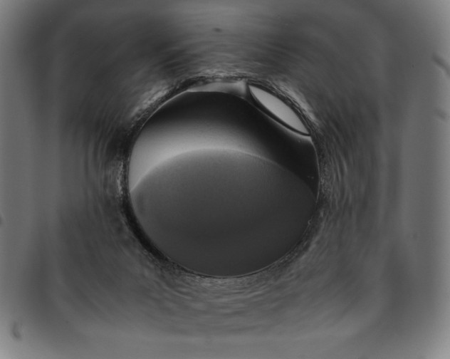 X0000094970023200712131505