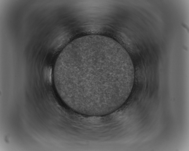 X0000094970024200712131505