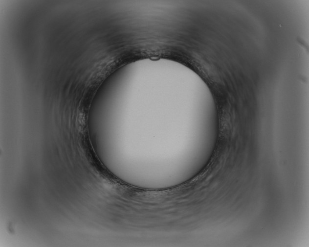 X0000094970025200712131505