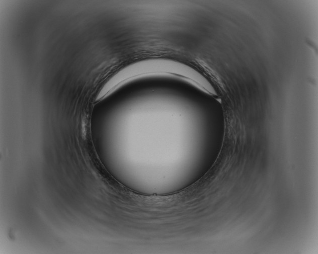 X0000094970026200712131505