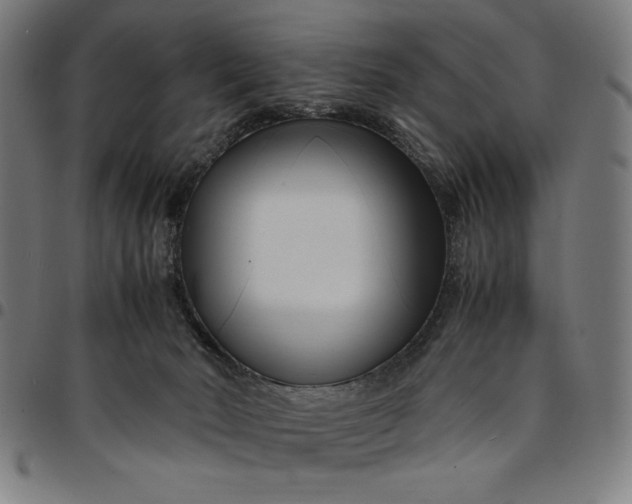 X0000094970030200712131505