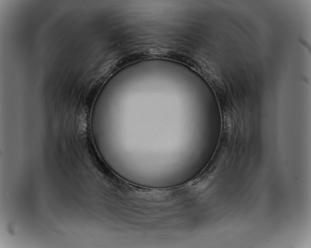 X0000094970032200712131505