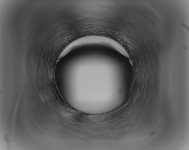 X0000094970033200712131505