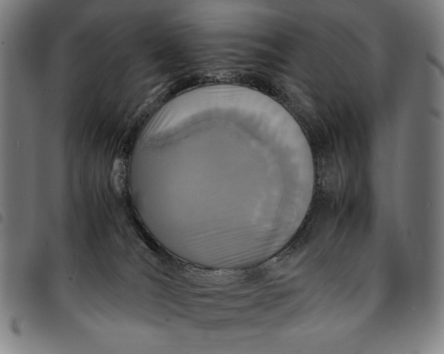 X0000094970036200712131505