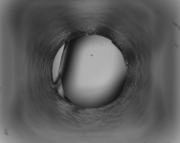 X0000094970037200712131505