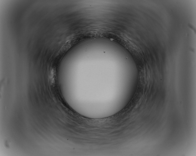 X0000094970038200712131505