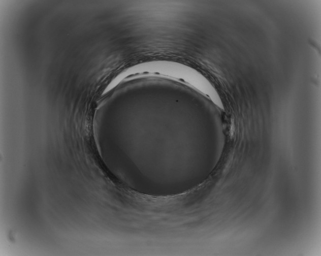 X0000094970039200712131505