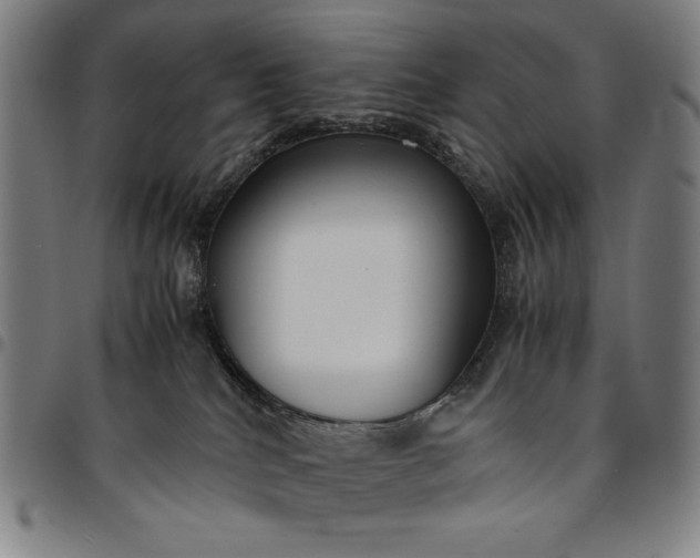 X0000094970040200712131505