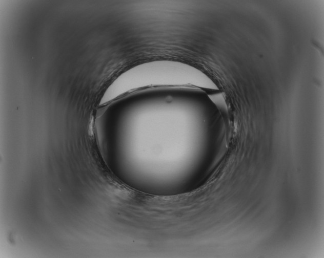 X0000094970041200712131505