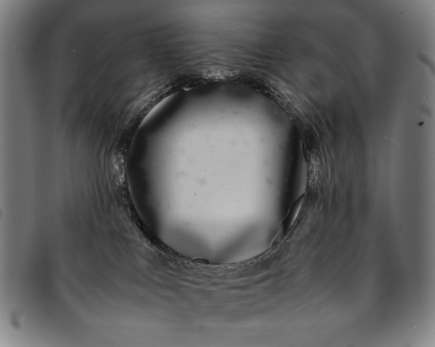 X0000094970043200712131505