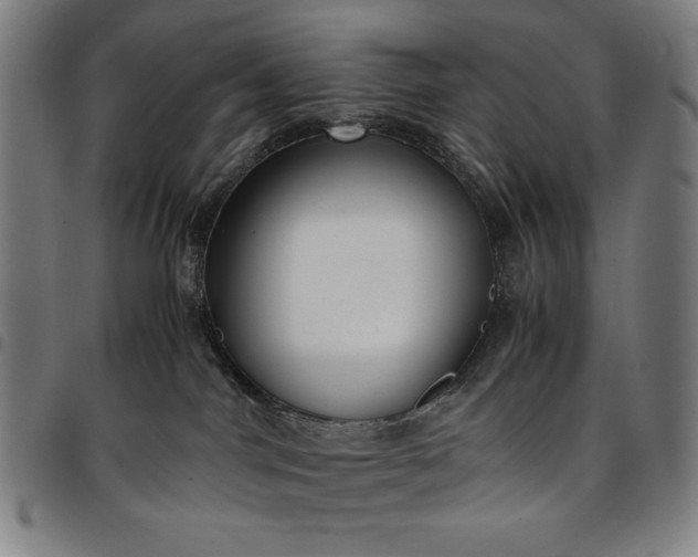 X0000094970044200712131505