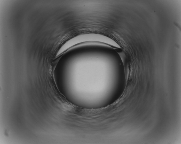 X0000094970045200712131505