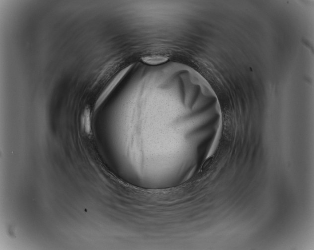 X0000094970046200712131505