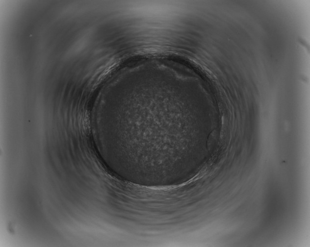 X0000094970048200712131505