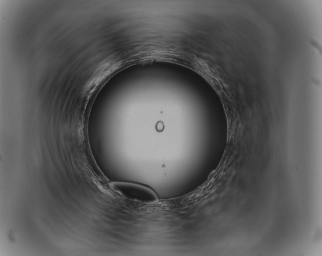 X0000094970050200712131504